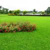 Garden in Cooch Behar Palace, West Bengal